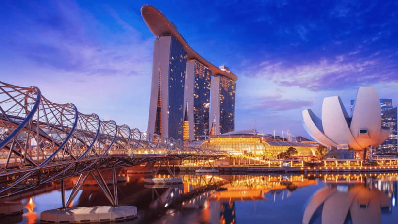 Signature Night Tour: Walk Through Marina with Food Tastings - Cavenagh Bridge, the Singapore River stories, and the Fish Belly detail