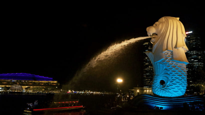 Signature Night Tour: Walk Through Marina with Food Tastings - Should you book this Marina night tour?
