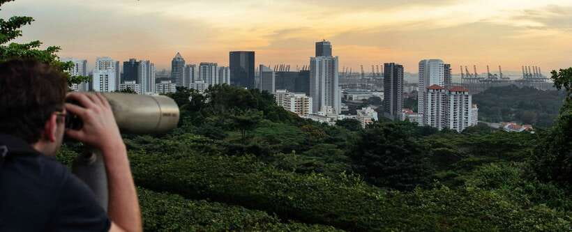 Singapore: 7-Hour Full Coverage Private Tour with a Local - Lunch and snack strategy: fuel without turning the day into a food hunt