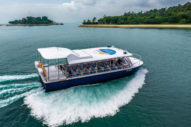 Singapore - Albatross Speedboat Adventures Cruising in Sentosa - Key highlights you should care about