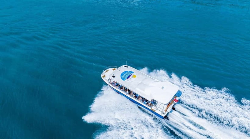 Singapore: Albatross Speedboat Adventures Ticket - The 60-minute plan: a straight shot along the southern coastline