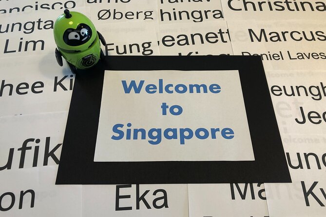 Singapore Arrival Ground Transfer in Limo-Bus - Price and Value: Is $31 Worth It?