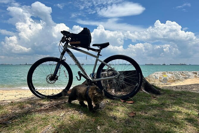 Singapore Beach City Cycling Tour - Practical timing and energy tips for a 5-hour ride