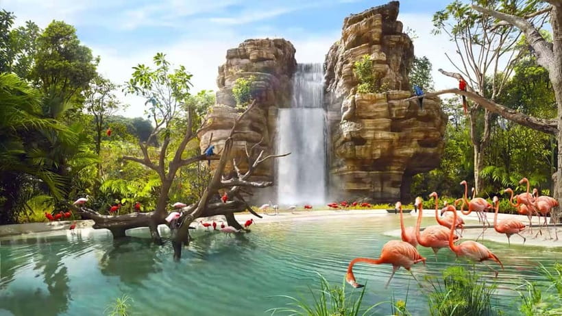 Singapore: Bird Paradise - Hornbills, Spoonbills, and Asia’s Bird Mix in Bamboo and Paddies