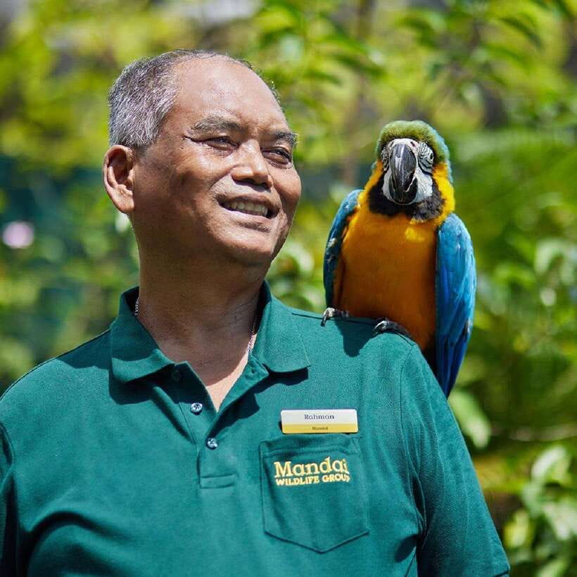 Singapore: Bird Paradise Entry Ticket - FAQ