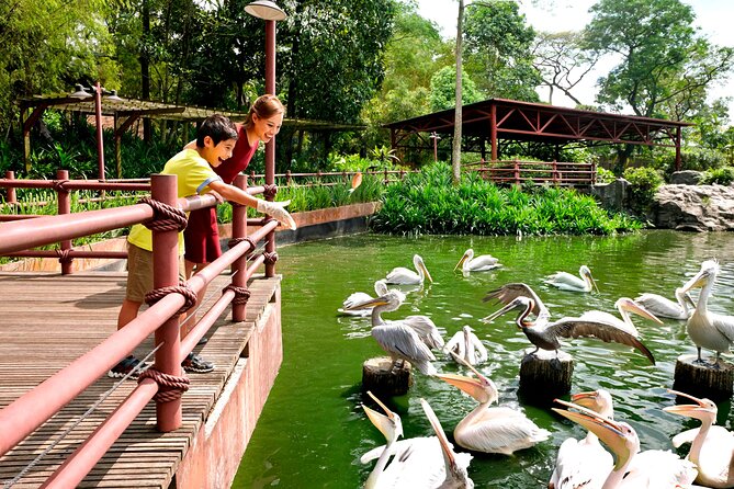 Singapore Bird Paradise & Zoo Full Day (Ticket & Transfer ) - How I’d Plan Your 3 Hours in Singapore Zoo