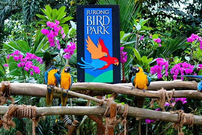 Singapore Bird Paradise & Zoo Full Day (Ticket & Transfer ) - Stop 2: Jurong Bird Park, Bird Paradise Aviaries, and Bird Viewing Systems