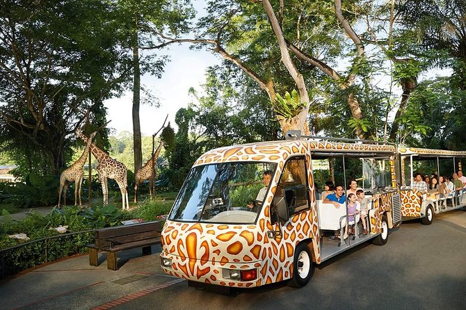 Singapore Bird Paradise & Zoo Full Day (Ticket & Transfer ) - How the 8-Hour Plan Feels: Timing, Energy, and Closing Time