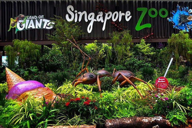 Singapore Bird Paradise & Zoo Full Day (Ticket & Transfer ) - Stop 1: Singapore Zoo Open Habitats and a Free-Ranging Orangutan Habitat