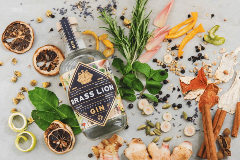 Singapore: Brass Lion Guided Gin Tasting Experience Ticket - Step inside Brass Lion Distillery, then start tasting with a plan