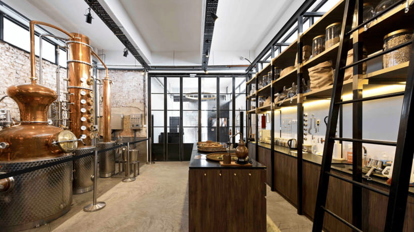 Singapore: Brass Lion Guided Gin Tasting Experience Ticket - How to taste gin like a pro, without turning it into homework
