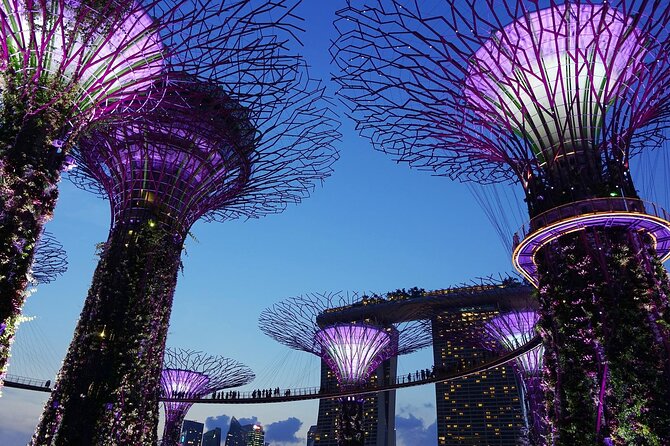 Singapore by Night Top Senic Sightseeing Private Tour - Guide quality matters more than you think