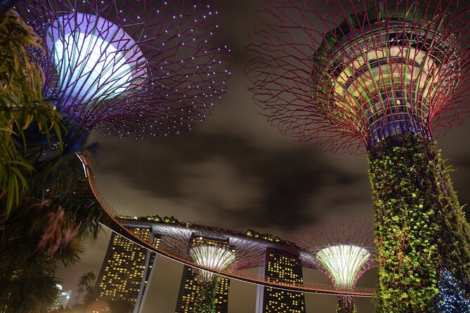 Singapore by Night Top Senic Sightseeing Private Tour - Who this private evening is best for