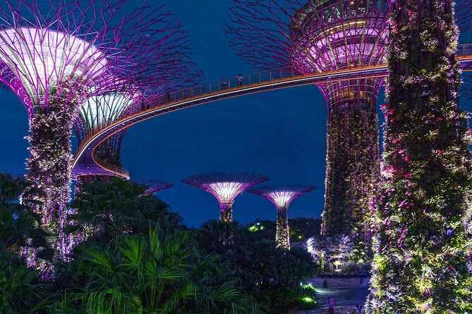 Singapore by Night Top Senic Sightseeing Private Tour - Supertree Grove and the Gardens by the Bay light show at 7:45 pm
