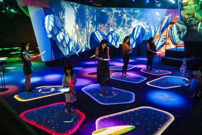 Singapore: Changi Experience Studio Ticket at Changi Airport - Digital art installations that actually help the flow