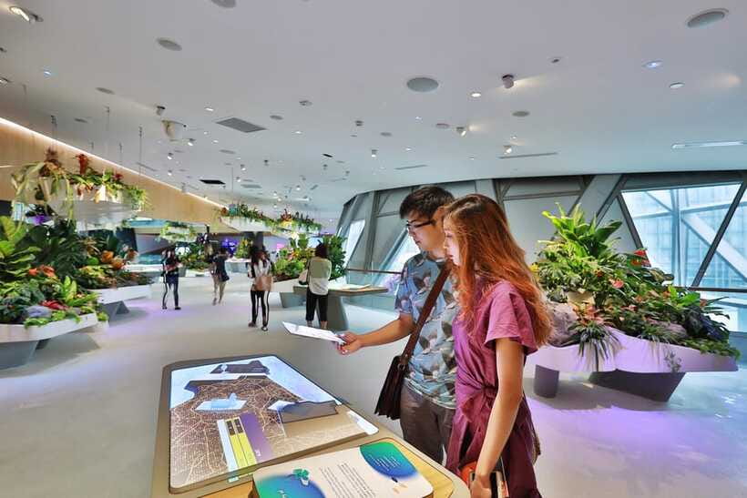 Singapore: Changi Experience Studio Ticket at Changi Airport - Who should book this Changi experience, and who might skip it
