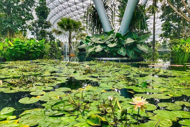 Singapore Changi Jewel Highlights Walking Tour - Jewel at Changi: why the building works as a destination