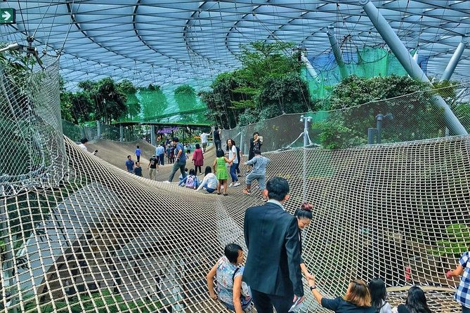 Singapore Changi Jewel Highlights Walking Tour - The 90-minute flow: what happens on the walking tour