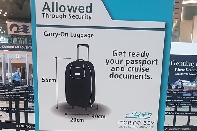Singapore Departure: Hotel to Cruise Centre Transfer - What You Need to Provide When Booking (So Everything Runs Smoothly)