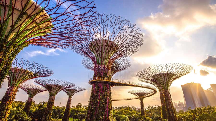 Singapore: Disney Garden of Wonder at Floral Fantasy - Supertree Observatory views, how to use them without rushing