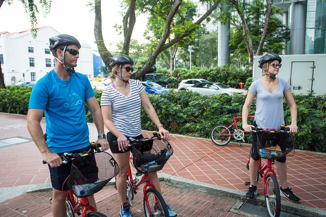 Singapore Full-Day Bike & Food Tour ( Private Tour ) - Key points to know before you go