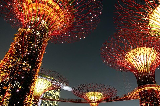 Singapore: Gardens by the Bay Admission E-Ticket - OCBC Skyway: The Panoramic Walk That Costs Extra (And Might Feel Scary)