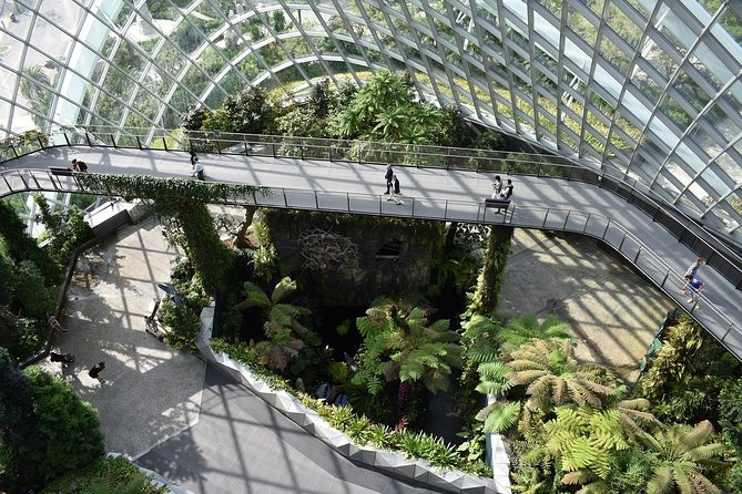 Singapore: Gardens by the Bay Admission E-Ticket - Flower Dome: Rare Plants and Bloom Displays Across Five Continents