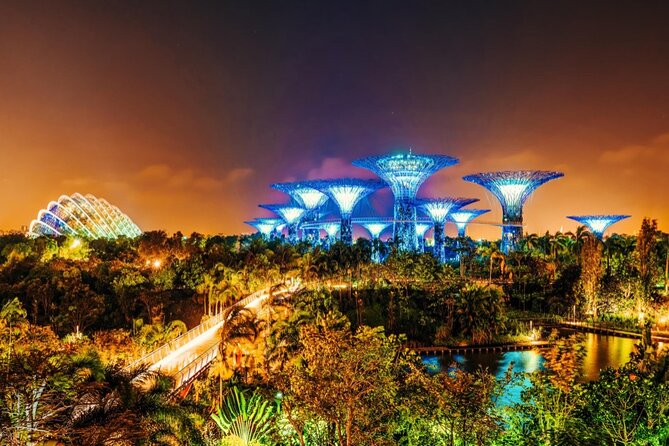 Singapore Gardens by the Bay Admission Skip-The-Line E-Ticket - How the E-Ticket Really Works (and why option choice matters)