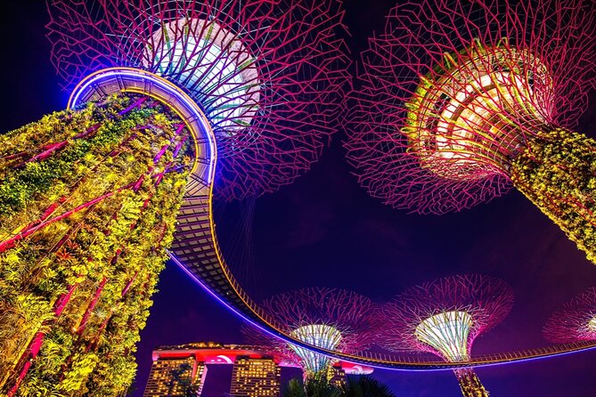 Singapore Gardens by the Bay Admission Skip-The-Line E-Ticket - Value check: what $17.71 really buys you