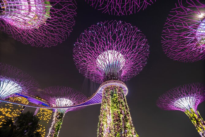 Singapore Gardens by the Bay Admission Skip-The-Line E-Ticket - Small print and smart on-the-ground tips