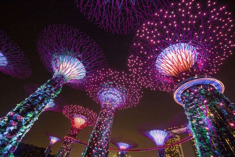 Singapore: Gardens by the Bay Bundle Entry Ticket - Key highlights to plan around