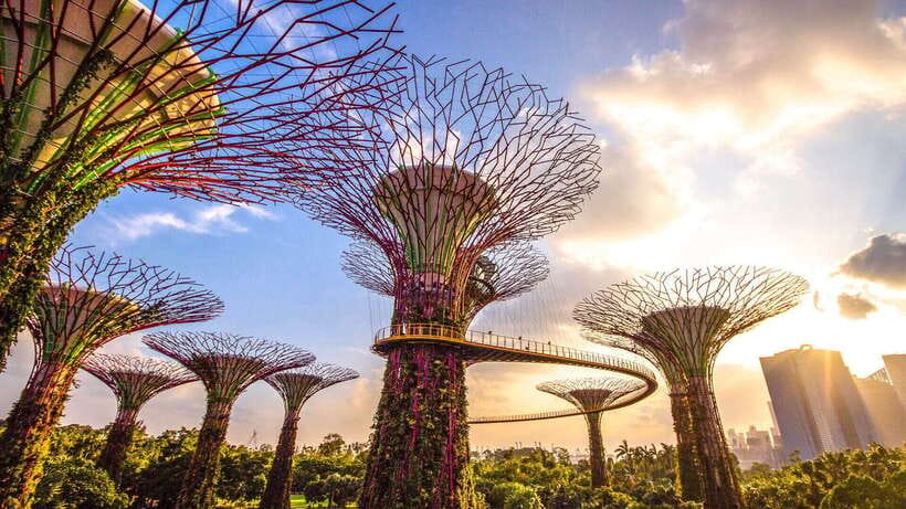 Singapore: Gardens by the Bay Bundle Entry Ticket - Flower Dome: Global gardens under glass, perfect for a break from Singapore heat