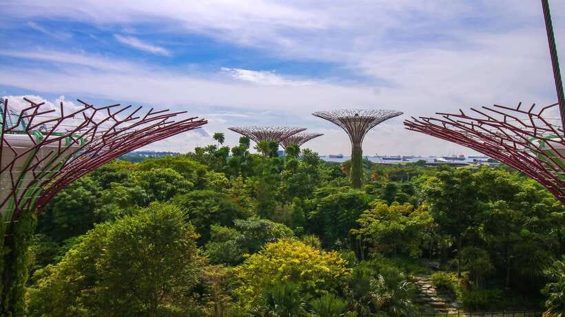Singapore: Gardens by the Bay Bundle Entry Ticket - Supertree Observatory: where the gardens turn into Marina Bay skyline views