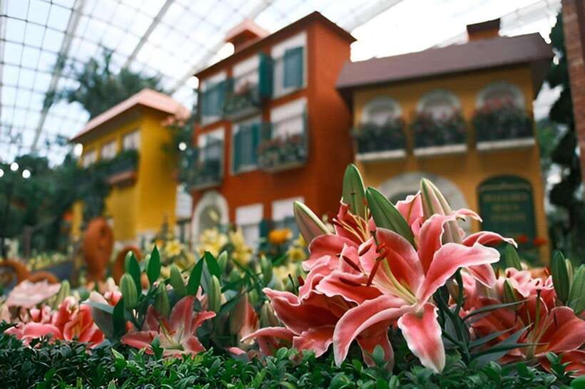 Singapore: Gardens by the Bay Bundle Entry Ticket - Plan your day around 2026 closure dates so you do not lose your main stops