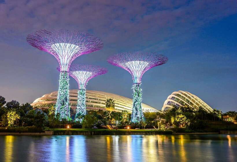 Singapore: Gardens by the Bay Bundle Entry Ticket - Who should book this Gardens by the Bay bundle