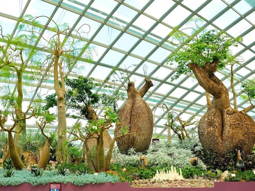 Singapore: Gardens by the Bay & Jurassic World with Pickup - SuperTree Grove and Garden Rhapsody: the night show inside the gardens