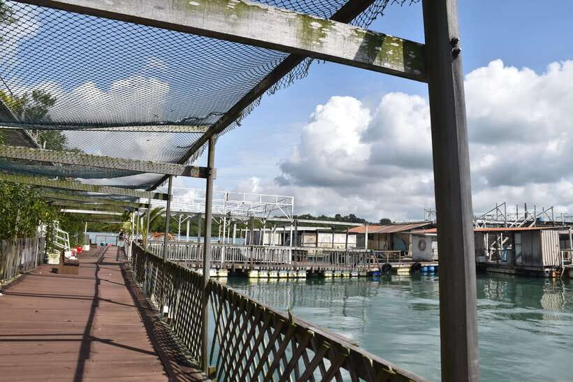 Singapore: Guided Boat Tour and Kelong Fish Farm Visit - Pulau Ubin from the sea: a different way to appreciate one of Singapore’s 63 islands