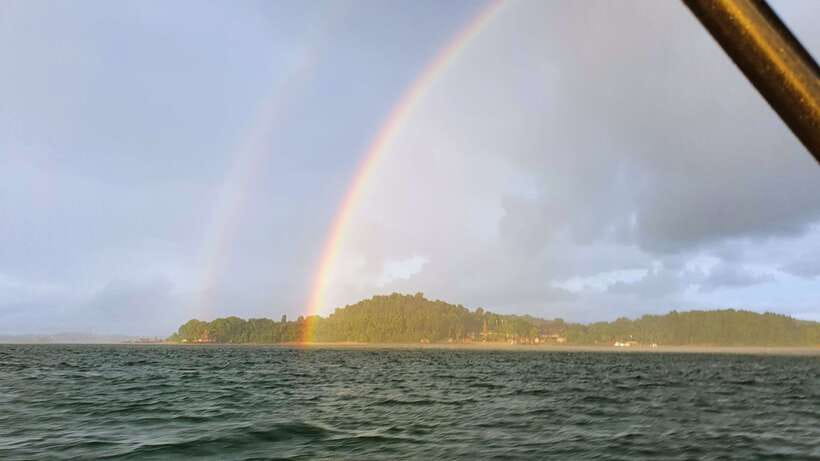Singapore: Guided Boat Tour and Kelong Fish Farm Visit - Weather, timing, and why the 3-hour format works
