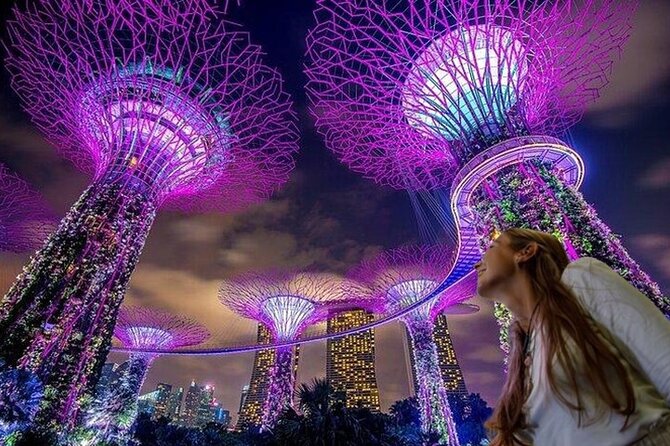 Singapore Guided Night Tour with 2 Light Shows & River Cruise - A smooth five-hour Singapore intro built around night shows