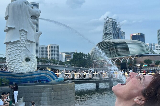 Singapore Guided Night Tour with 2 Light Shows & River Cruise - Gardens by the Bay Light Show: where you should aim for the best viewing