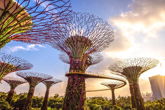 Singapore Half Day City Tour w Skypark and Gardens By The Bay - How this 2:00 pm half-day tour fits Singapore’s rhythm