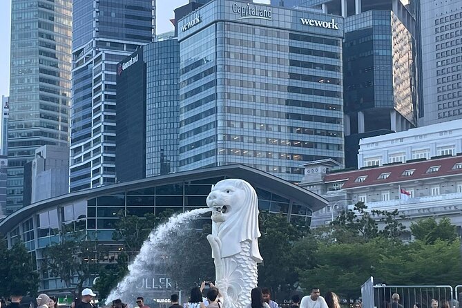 Singapore Half Day City Tour w Skypark and Gardens By The Bay - Private transport, pickup, and group size comfort