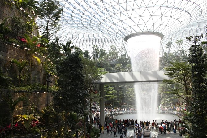 Singapore: Jewel Changi Airport - Canopy Park nets, mirror tricks, and hedge wandering
