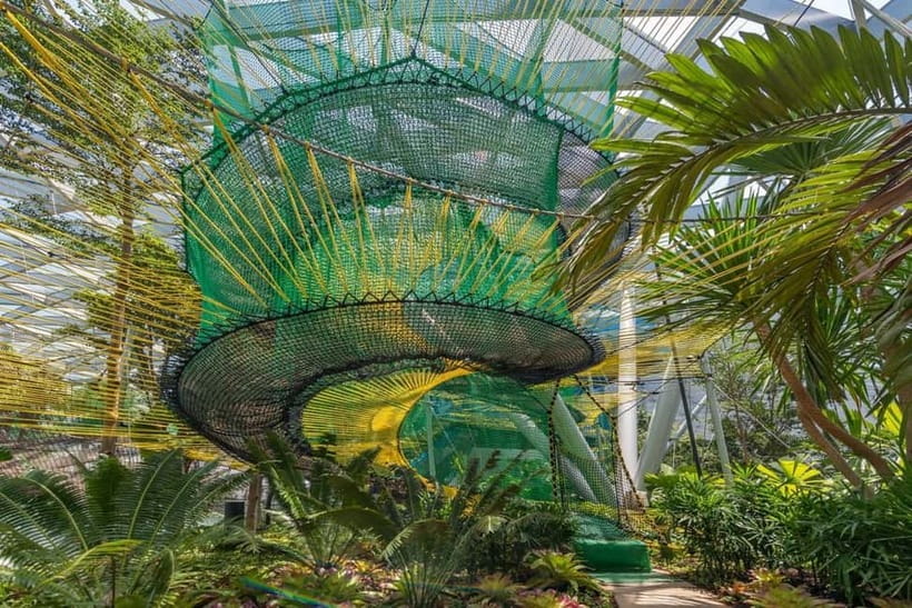 Singapore: Jewel Changi Airport Attraction Ticket - Walking Net and Bouncing Net: 8 meters up and the feeling of weightlessness