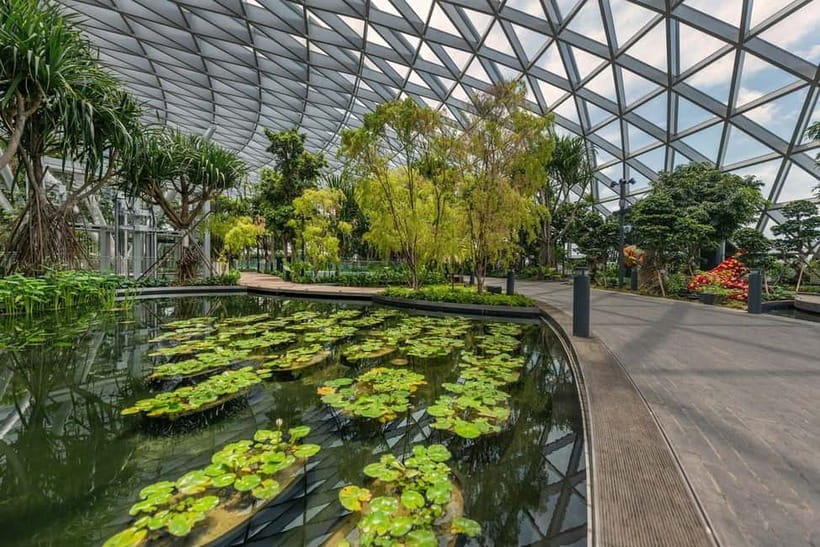 Singapore: Jewel Changi Airport Attraction Ticket - Price and value: why $6 can be a smart airport-day move
