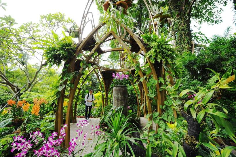 Singapore: National Orchid Garden Admission - Key things to know before you go