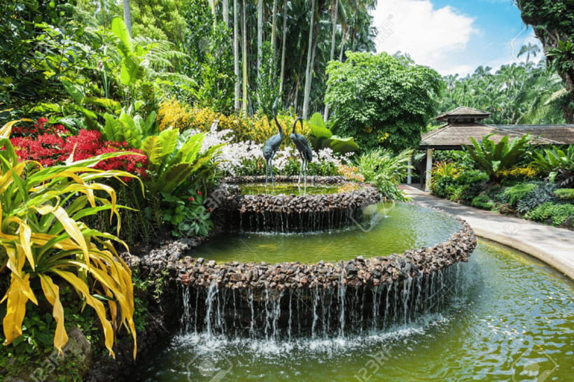 Singapore: National Orchid Garden Admission - Start with orientation: exhibits that explain what you are seeing