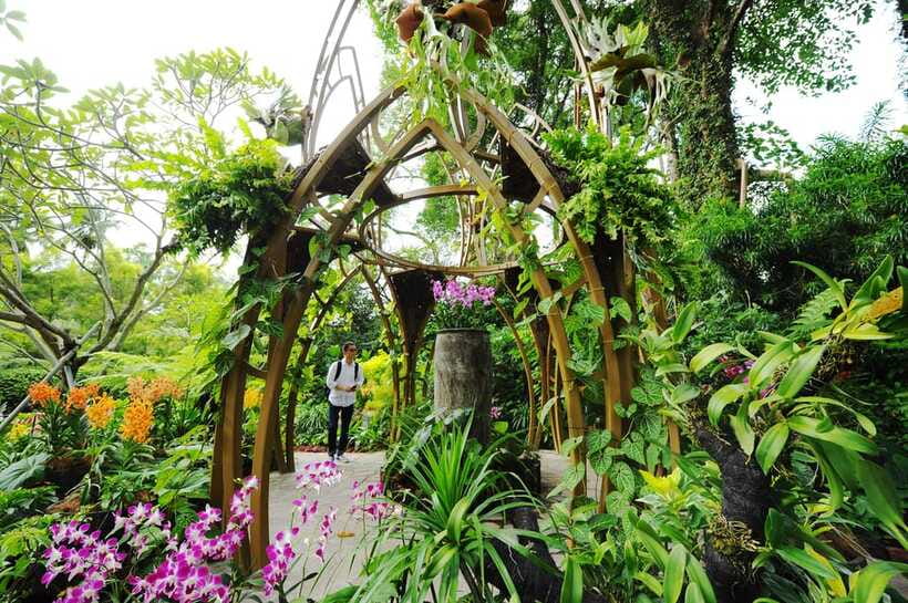 Singapore: National Orchid Garden Admission - VIP Orchid Enclosure: seeing award-winning varieties up close