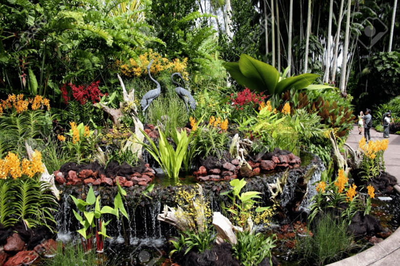 Singapore: National Orchid Garden Admission - Flower Dome: orchids plus exotic plants in a greenhouse setting
