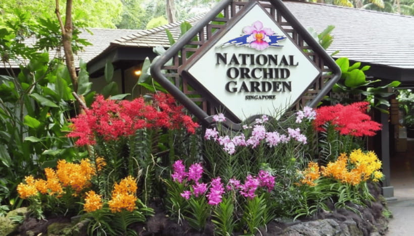 Singapore: National Orchid Garden Admission - How long to spend on a self-paced day